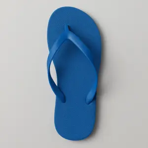 Casual Flip Sandal